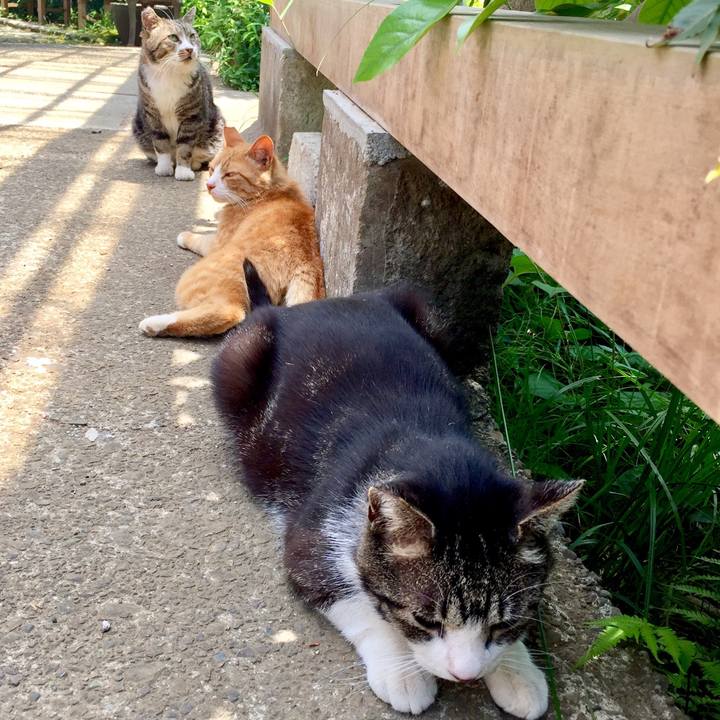 C992f87a 6fad 4005 9c93 5077f11c2b3e