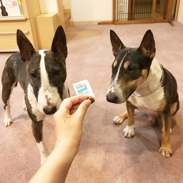 C9930464 6dfb 4a06 8d4a a1c08c78491e