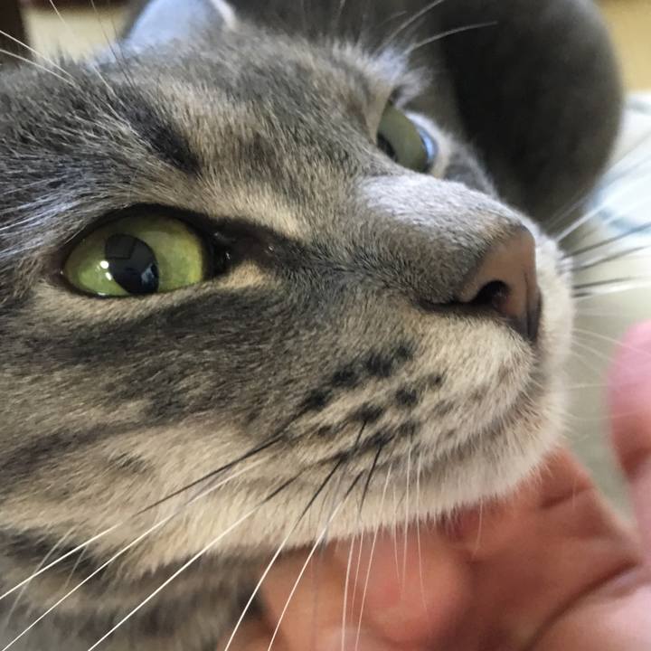 C993329f 9bc0 4c9f be38 0afa6027cc2a