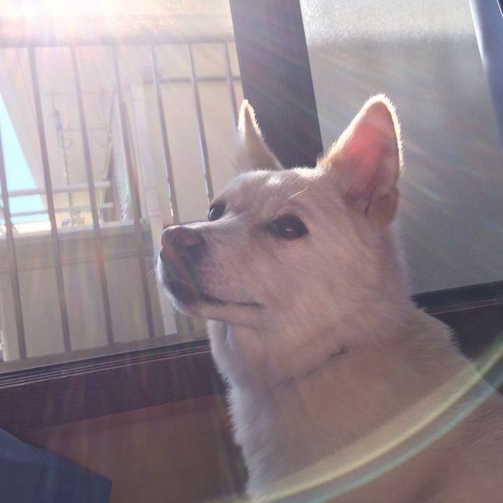 C9937361 fa6e 47f2 822d df18f98028c9