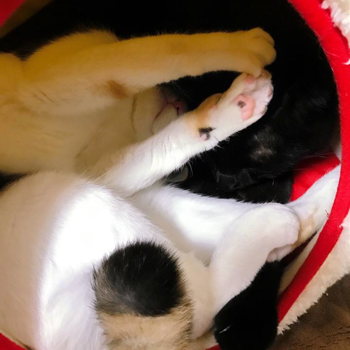 C9939614 691c 4e1c b800 6fb5c78fdf30