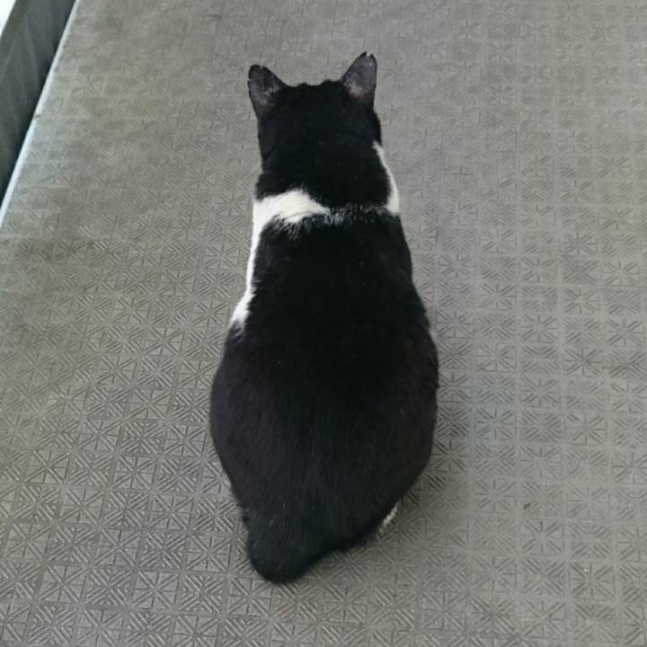 C993c486 f625 4914 be7e 9d5849954d7f