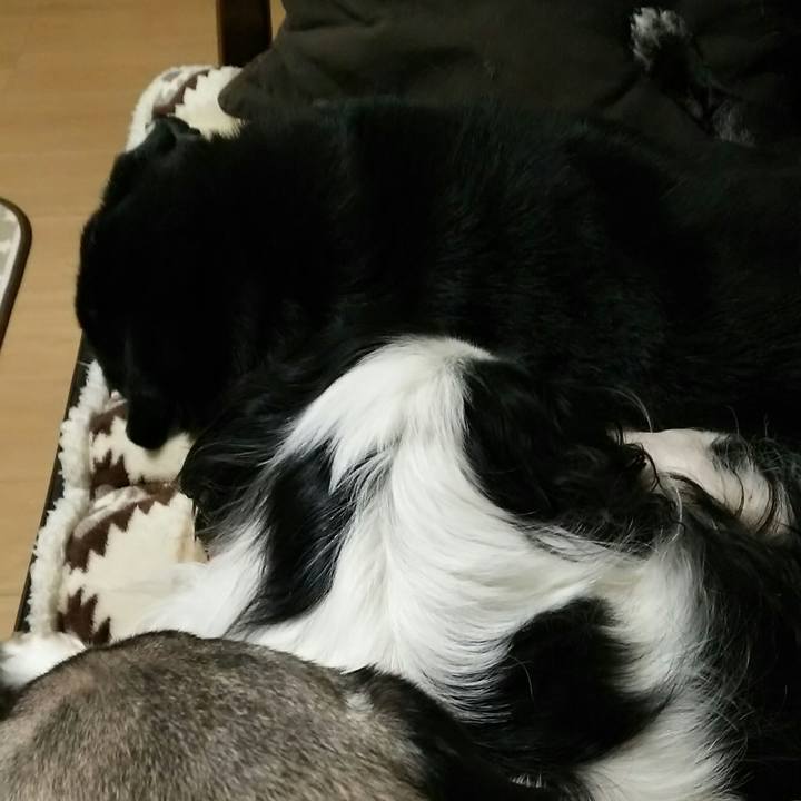 C993edb6 e085 4c9e 8028 b9ad00b6dc16