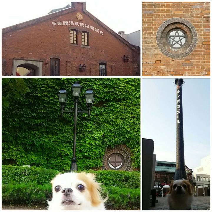 C994255e 6dce 44d2 9405 6f4b7056dfbb