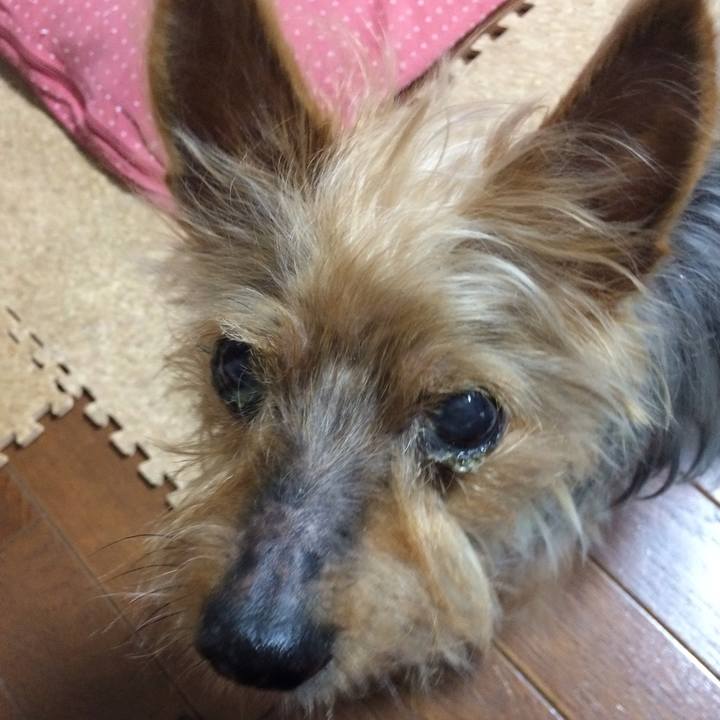 C9945eb1 ca5d 4657 8581 12728e58fdda