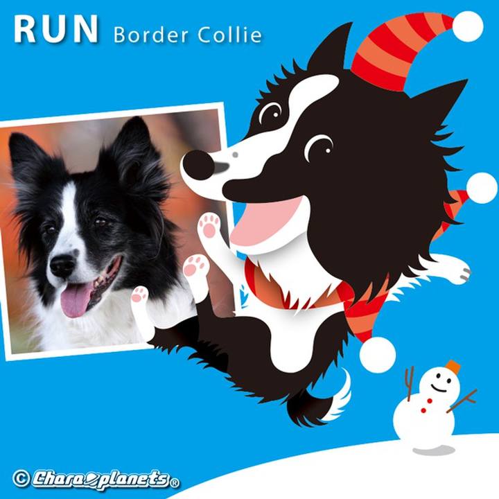 C99509a6 e9f6 4044 b977 a5588d9fdca5