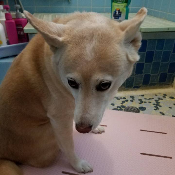 C995126a 8111 4319 aec5 e199a6a3b39e