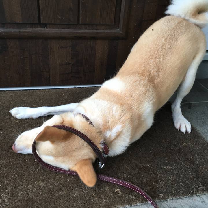 C995a324 fa89 4602 a284 1b9d63eb5d14