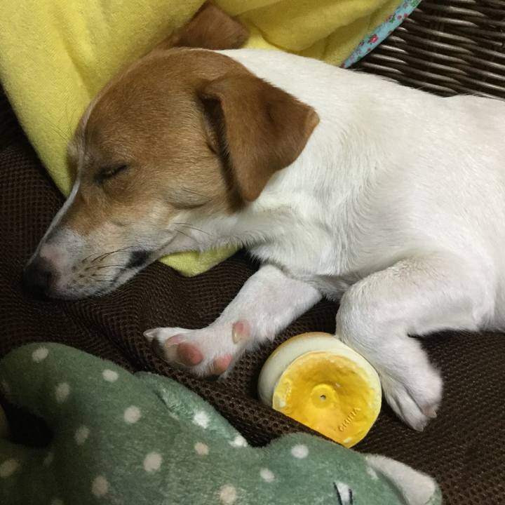 C997b9c3 45dc 4f4c a4da db6040a93fa5