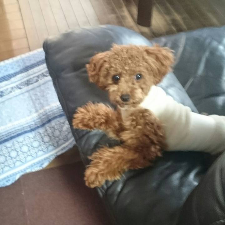 C997d402 a4fb 4c96 8f99 c6ad657e7049