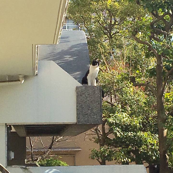 C9980ea7 587a 4398 b020 202c98270237