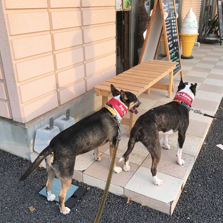 C99815bf 38e0 4e8f 8abe c680c7b70c25