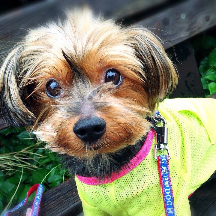 C99860a4 093d 416d b60d ca601e108ae3