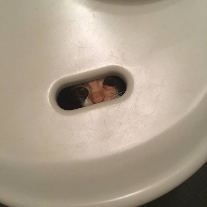 C9995616 561d 4ee5 8b05 23bc80fdc84e