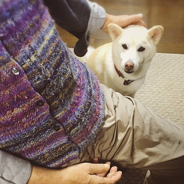 C999d9e2 c242 414f 99b4 78e0b2aeb224