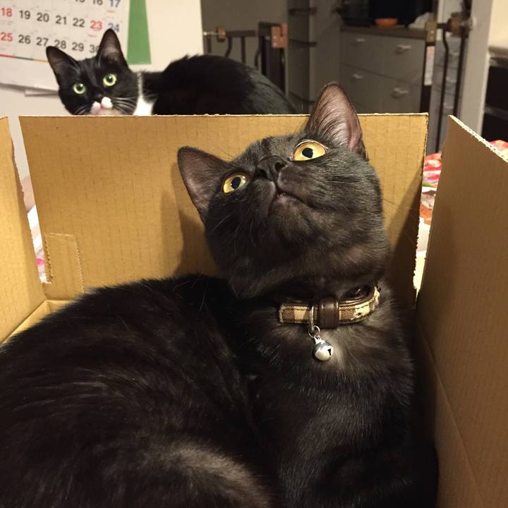 C99a6230 5b4a 423b b4a7 7832c741049e