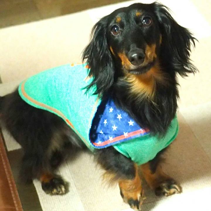 C99aa795 f823 4d7d bdee 7f677a60f40b