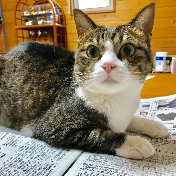 C99afff6 1c00 4abe 8680 407c749c5a49