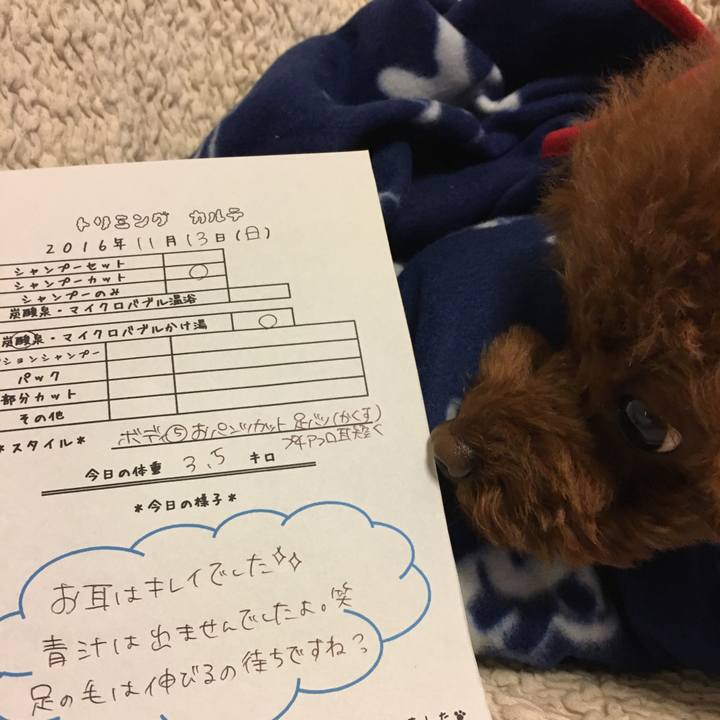 C99b7299 a7d6 498c b4df 43b85da91003