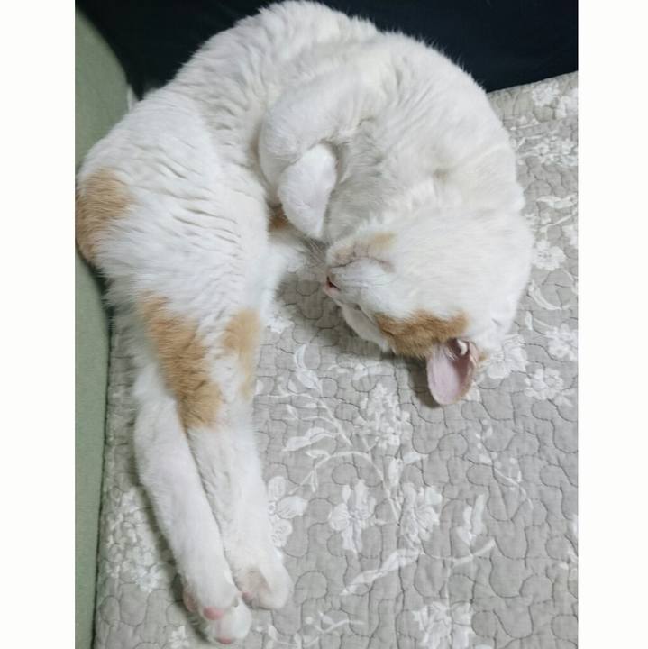 C99b990f c6d1 4229 8f6b afbb14c47e45