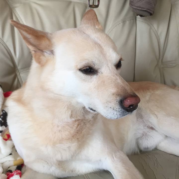 C99c8340 eef1 4cb2 b327 9c9531f62eaf