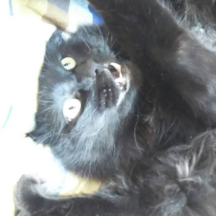 C99c8d6c c33e 430b 9329 e11ca133b7a5