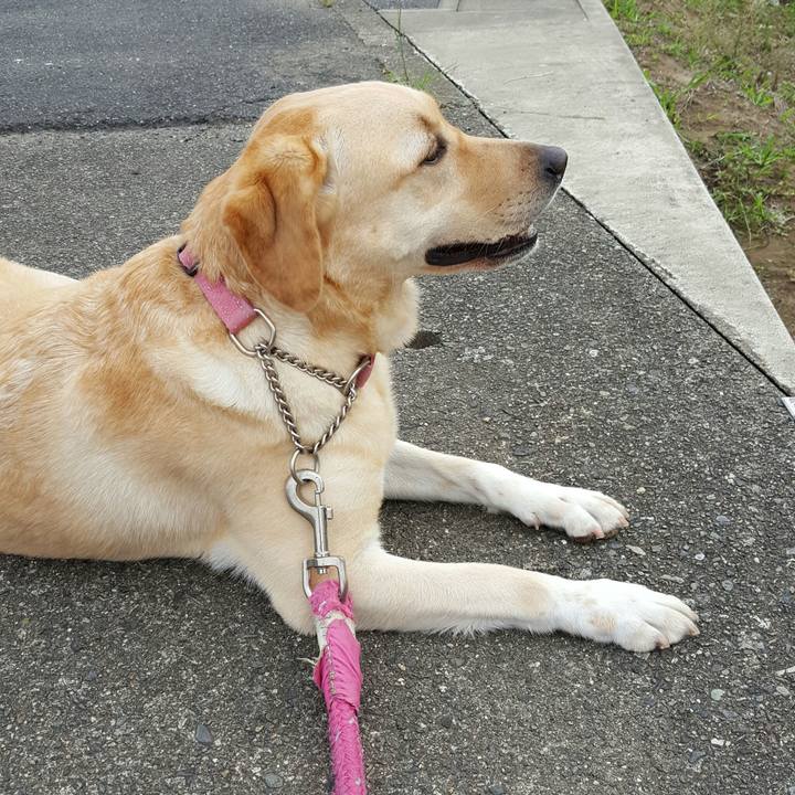 C99cdc41 3f90 4166 b048 724a1da9f4f8