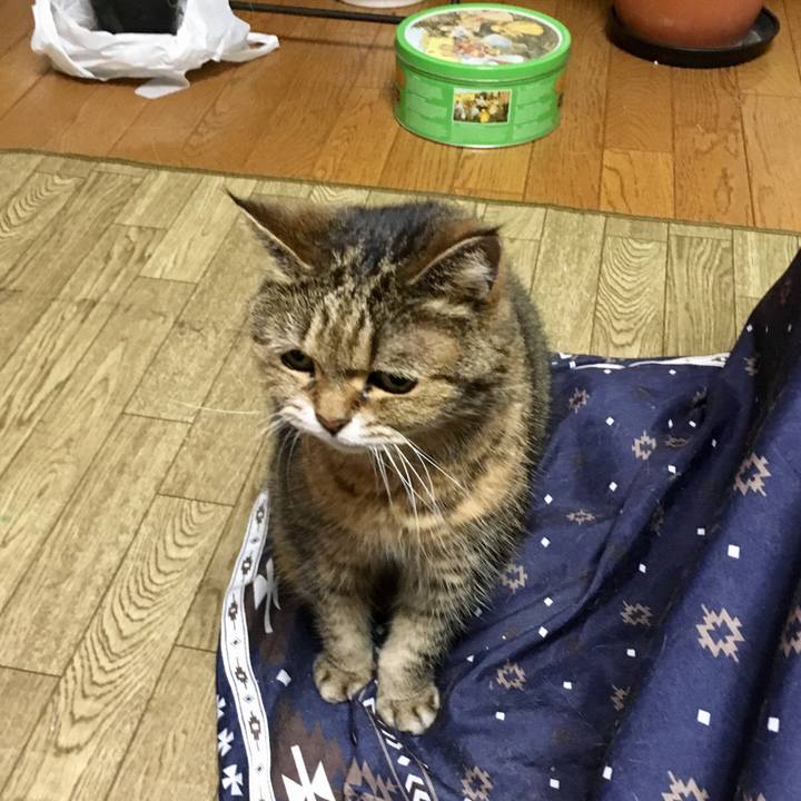 C99cea6e ca30 4f02 80dc 5377ba807829