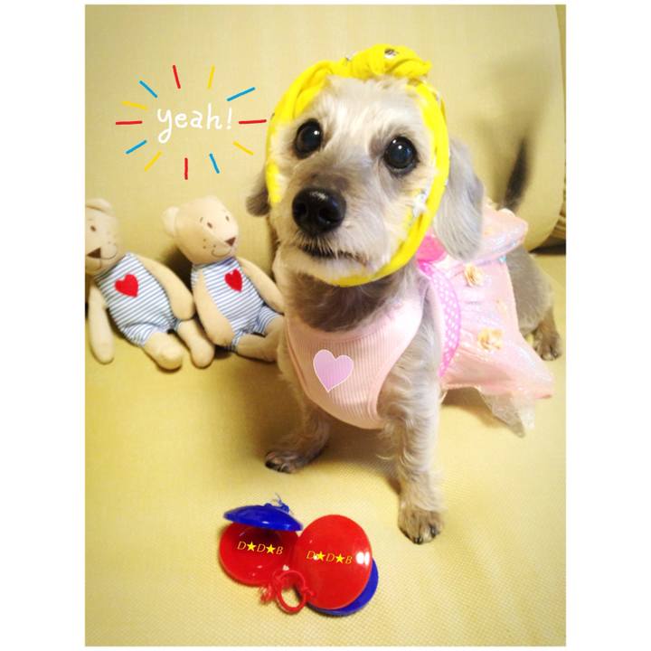 C99d0ca0 8ab1 414f 8b2b 6af1c59b8684