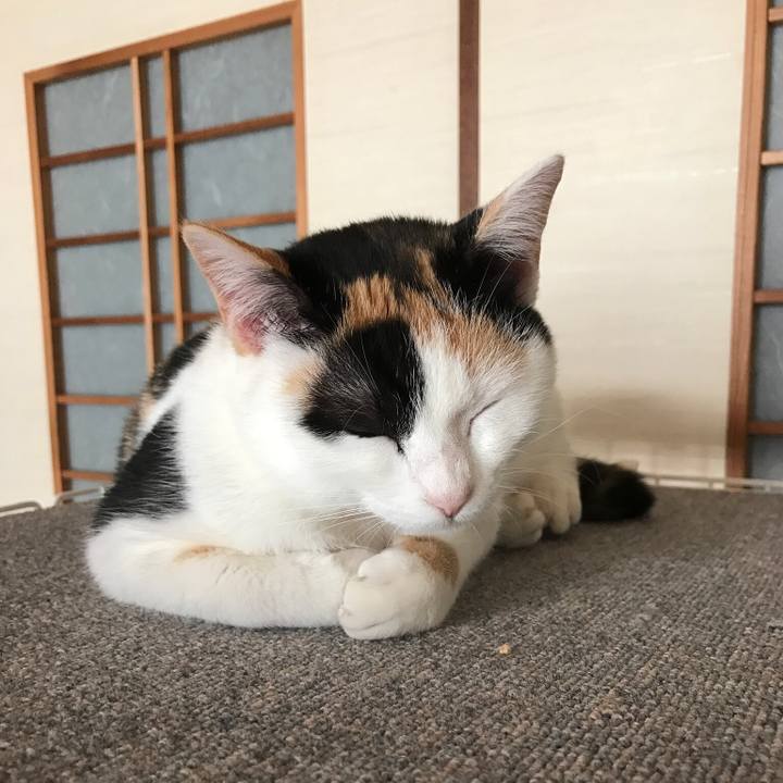 C99e23be c642 47dd a85c a13fc345995a