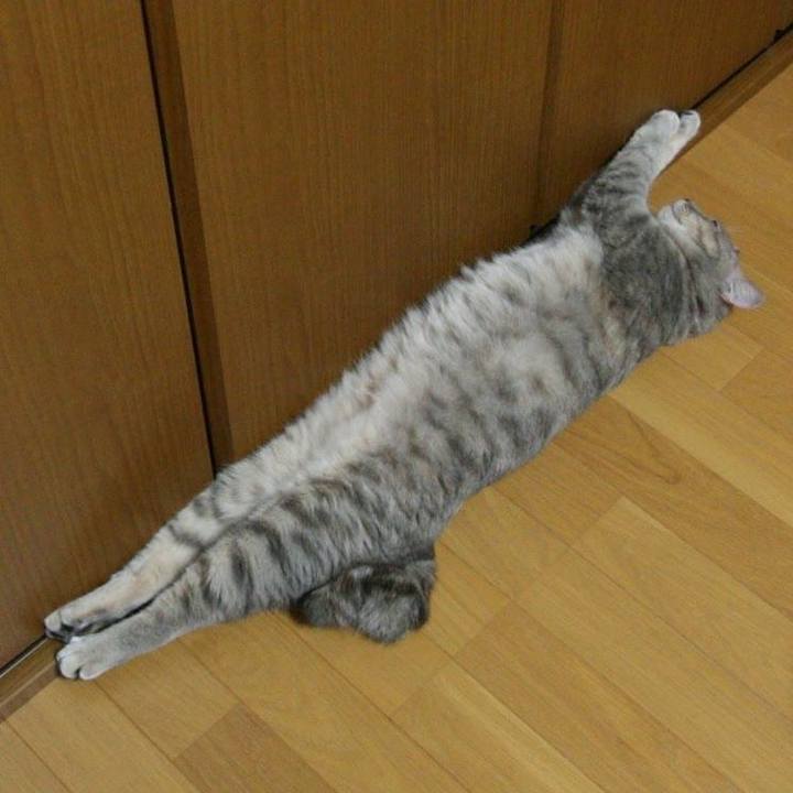 C99ebc20 055d 41f1 bb48 ef3da9e83a09