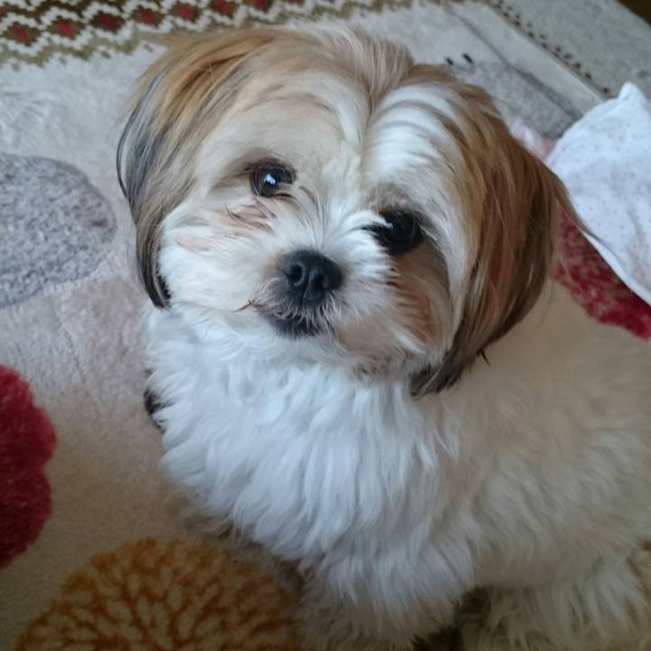 C99ee291 cad3 455d 837f df4d982c9a92