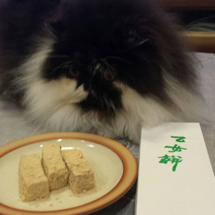 C99f0146 5f63 4767 ac48 44e1623575f7