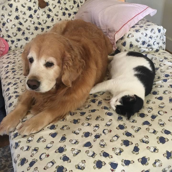 C99f77c0 94bd 459d 9cee f2c6afb00518