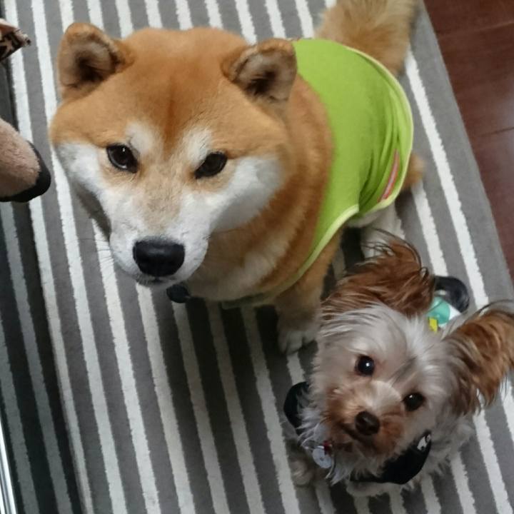 C99f7d3b 8d67 4512 8bfe c35dda550a1a