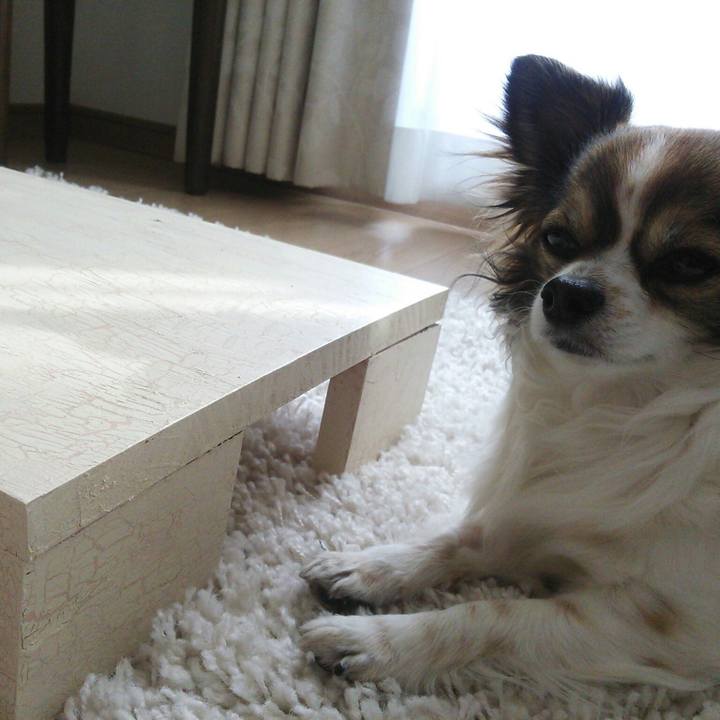 C99f9fbc abc5 4f3c ac36 75bc67a014cd