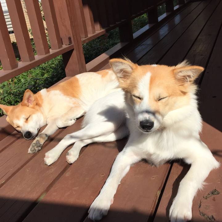 C99fb136 6f1a 40eb bc29 2eb4050f72c6