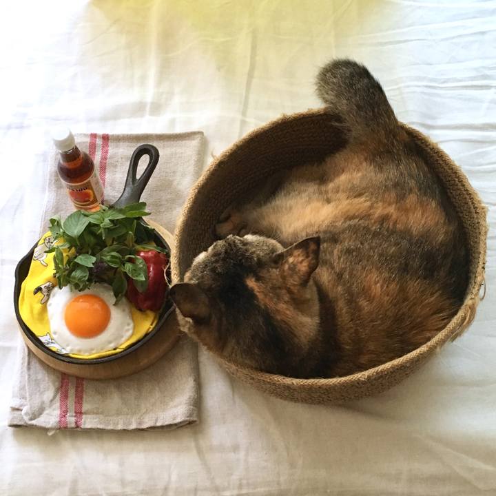 C9a0021b 715f 44a0 a4d6 44a97ef6d8a0