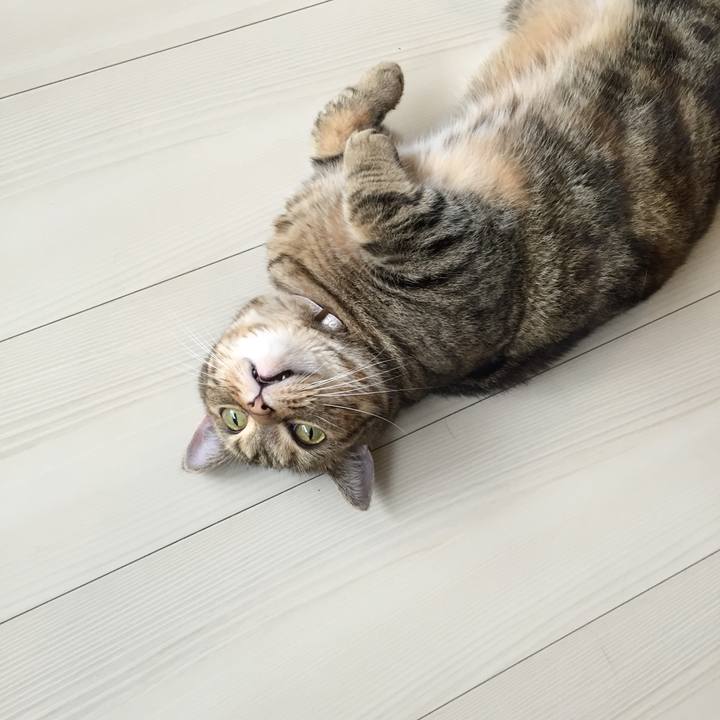 C9a073a5 c0ca 4799 8803 172a06e3667b