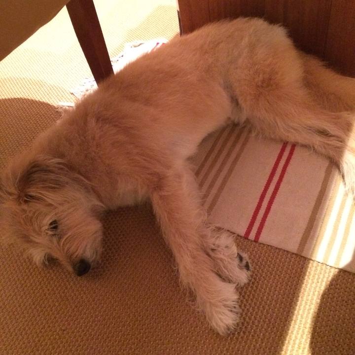 C9a0f68f 2c58 4313 959b e51a7f07566e