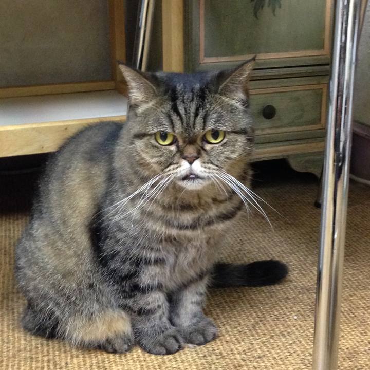 C9a15358 5378 470d 83c6 f18e09e42fc2