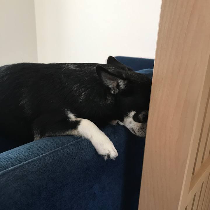 C9a1b446 d6a9 4ec4 813c fc55dc679799