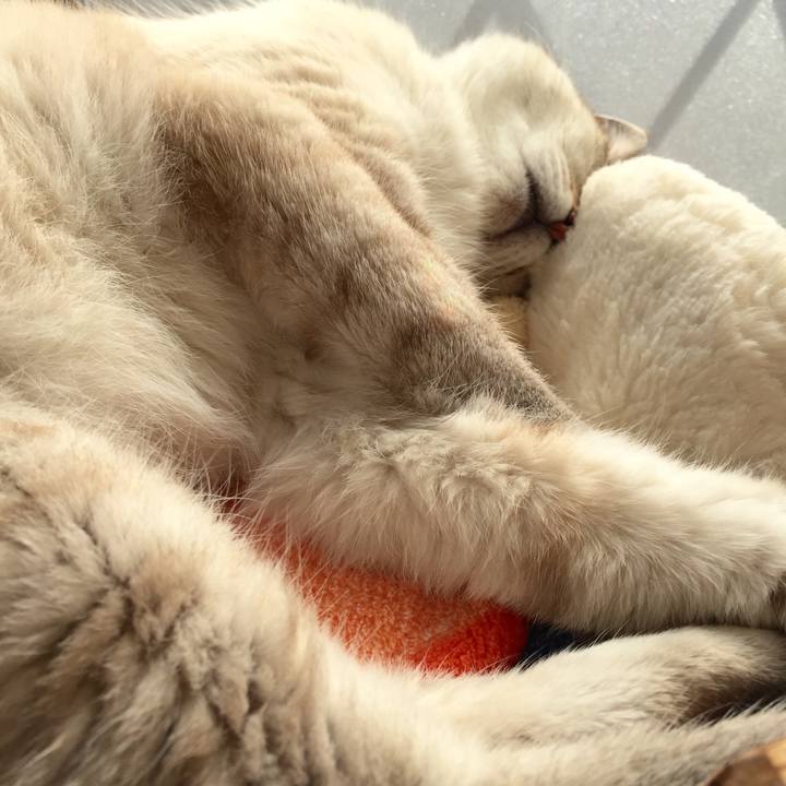 C9a1b53a 48bc 430b 9cdc 3afd109f298f