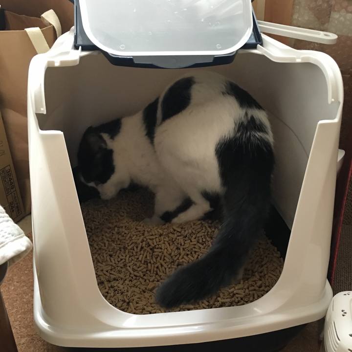 C9a23bb8 b78d 427b 8d78 4dace15fb0ed