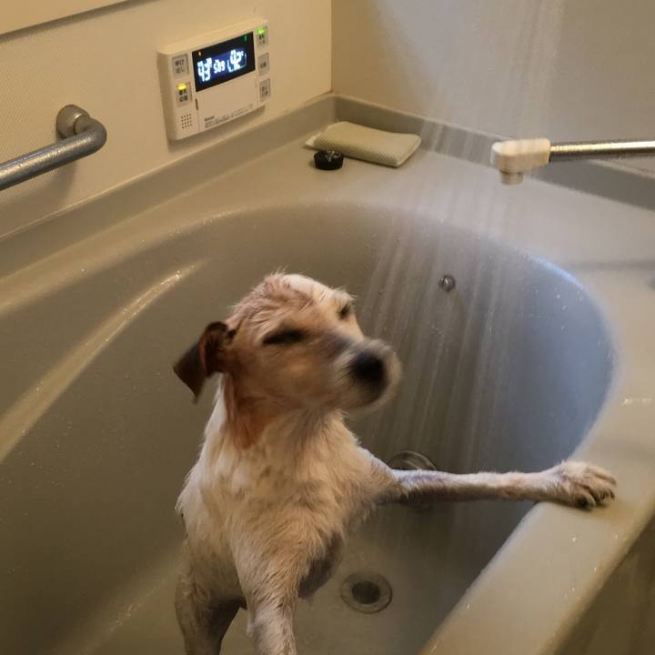 C9a2aa36 2758 4cb8 bb75 c01d94e71fa7