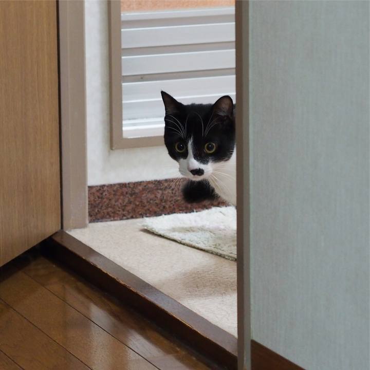 C9a52248 d2b1 4165 9e1f fefce129e19e