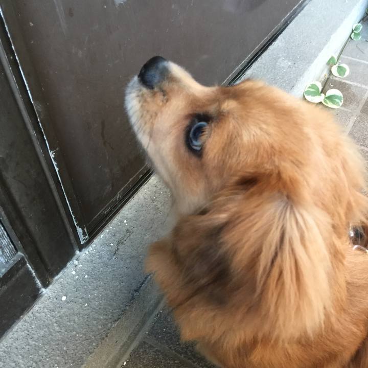 C9a52336 dc3c 455e 9edb 8c7dc132dfb9