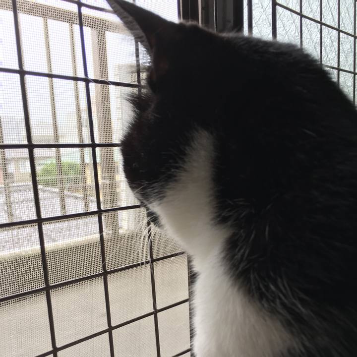 C9a5b5fc f499 45d2 ab42 6506eb771ced