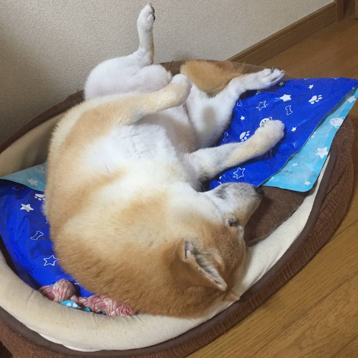 C9a5bf9d dca4 4747 a0b7 04c9574453a2