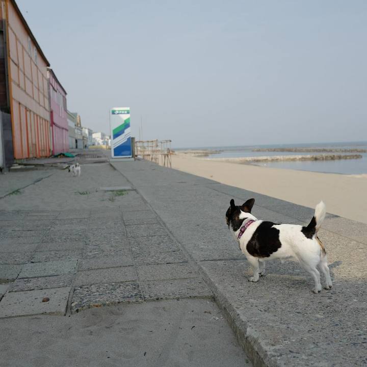 C9a67694 c783 4708 8e23 ee5420cca8b0